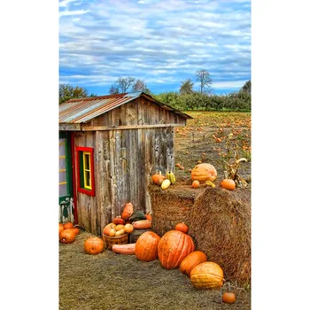 Фон фермы Золотой осени, украшение для Хэллоуина, Детский Фотофон для фотостудий, наборы Видеоаксессуаров, Фотография