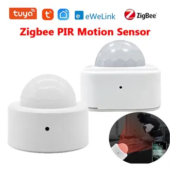 Tuya/eWeLink Zigbee PIR Датчик Движения Умный Детектор Движения Человека Мини Инфракрасный Детектор Домашней Безопасности Автоматизация Для Smart Life