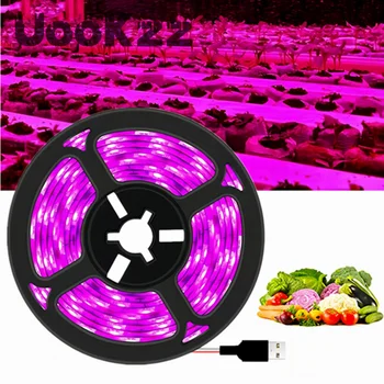 UooKzz DC 5V USB LED Grow Light Полный Спектр 1-5 м Растительный Свет Для Выращивания Светодиодной Ленты Фито Лампа для Выращивания Рассады Овощных Цветов Палатка Для Выращивания
