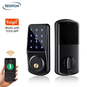 Tediton, водонепроницаемые cerraduras, дверная ручка с дистанционным управлением без ключа, умный замок tuya, цифровой дверной замок